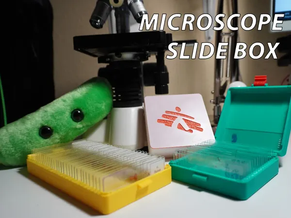 https://makerworld.bblmw.com/makerworld/model/US57ebc33025ba25/design/2025-07-12_b72fb217f6ef5.webp