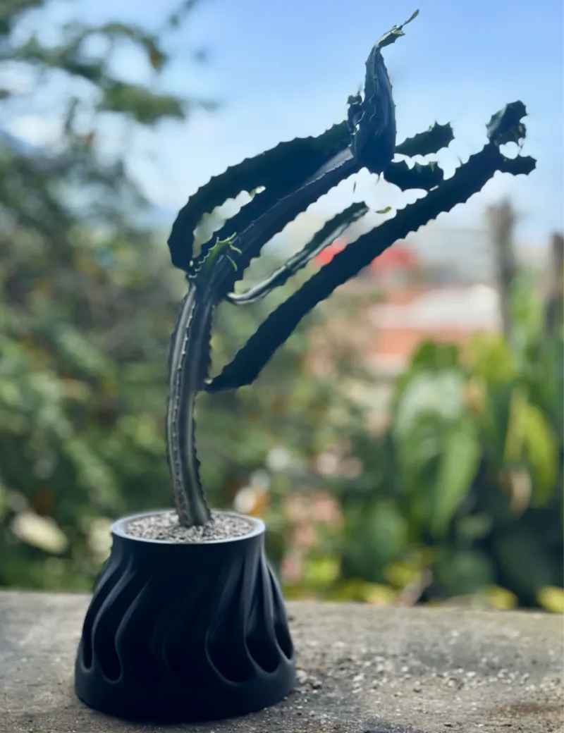 organic planter