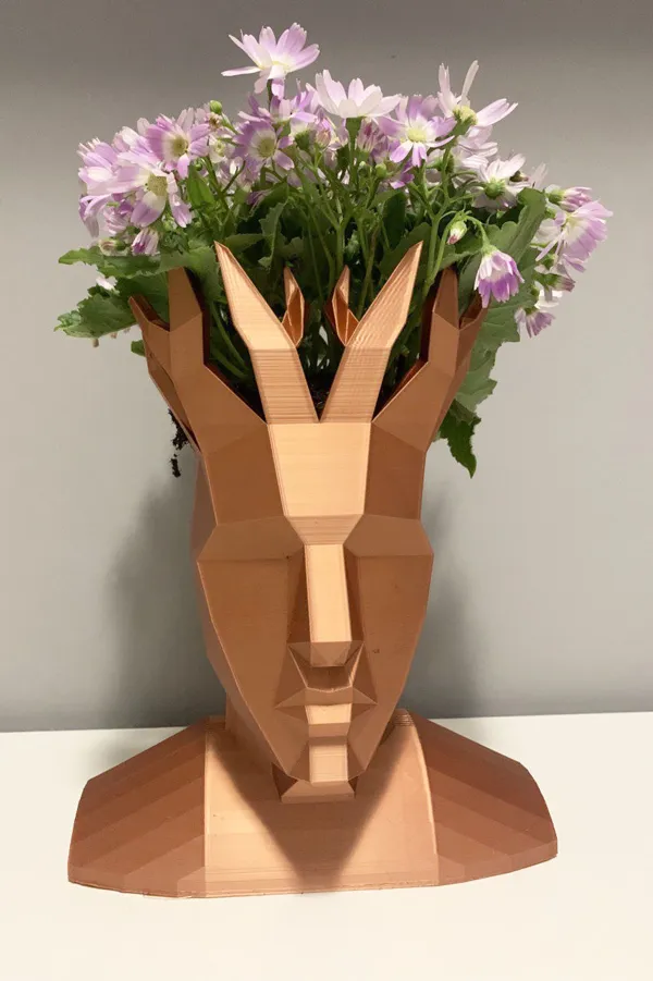 https://makerworld.bblmw.com/makerworld/model/US57eebd0cc89531/design/2023-12-01_6f18eed7e754b.jpg