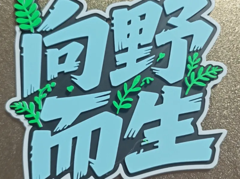 超大挂件~向野而生