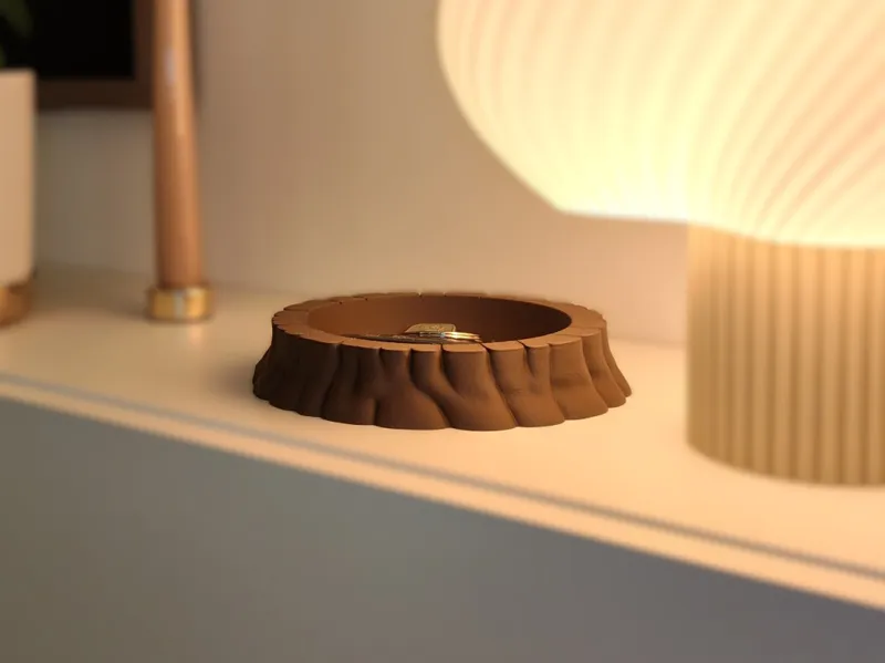 Organic Wood-Inspired Tray