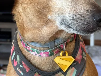 Superman Krypto Dog Tag