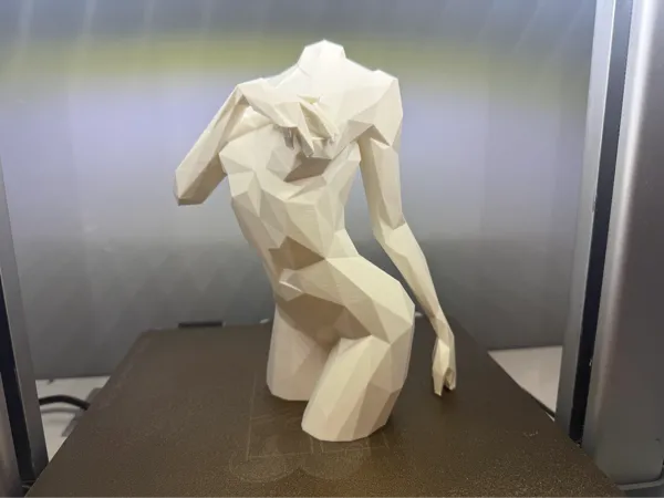 https://makerworld.bblmw.com/makerworld/model/US57faaa0b2b0a5d/design/2025-11-20_aafc22843c20a.jpg