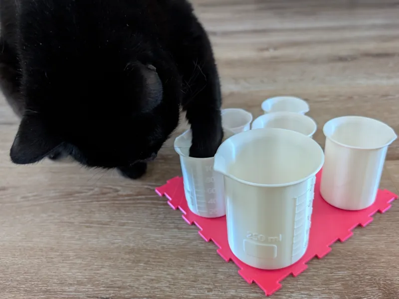 Curious Paws - Beakers puzzle