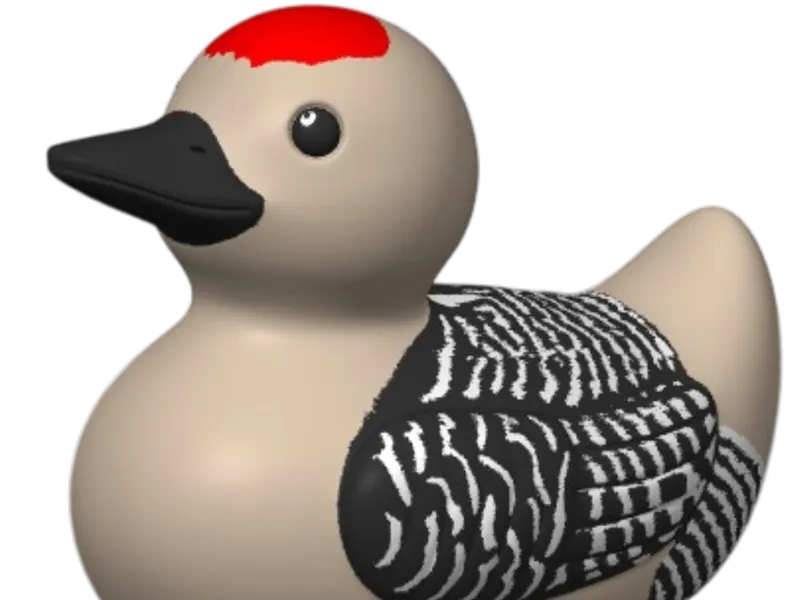 Gila Woodpecker Duck