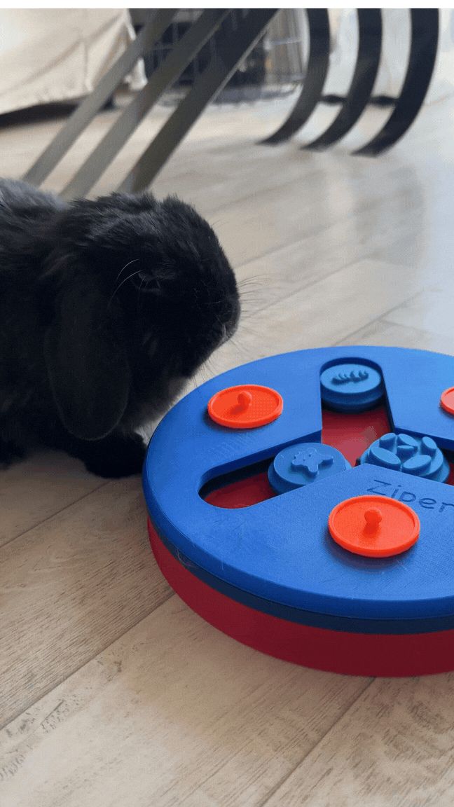Rabbit Puzzle Feeder - Toy for Pet Enrichment 