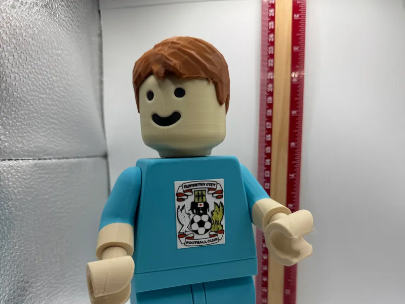 Coventry City FC brickman figure