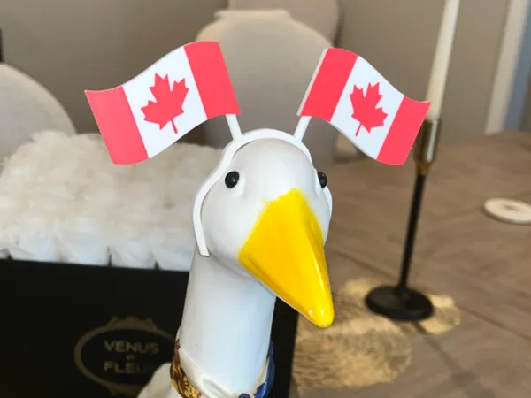 https://makerworld.bblmw.com/makerworld/model/US58066cecc7230/design/5e263106f312058e.jpeg