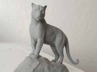 Majestic Black Panther on Rock – Highly Detailed