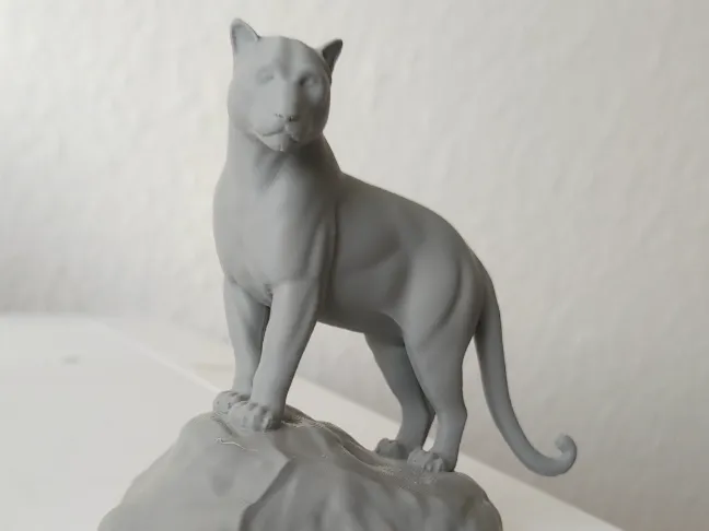 Majestic Black Panther on Rock – Highly Detailed