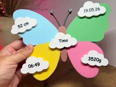 Personalized Butterfly Gift – Custom Birth Memory