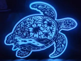 Turtle Light Box