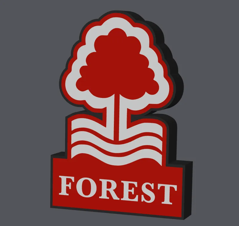 Nottingham Forest Lightbox