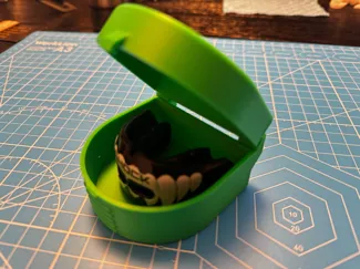 Mouth Guard Case