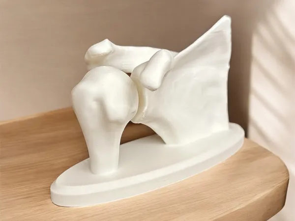 https://makerworld.bblmw.com/makerworld/model/US580ca525126302/design/2024-12-08_d44f8f7e00ab5.jpg