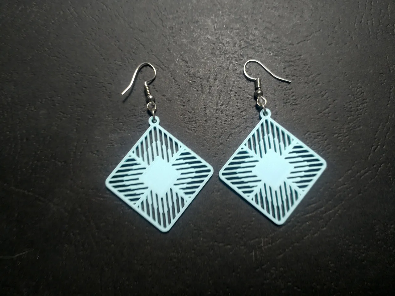 Diamir Seal Earrings view 4