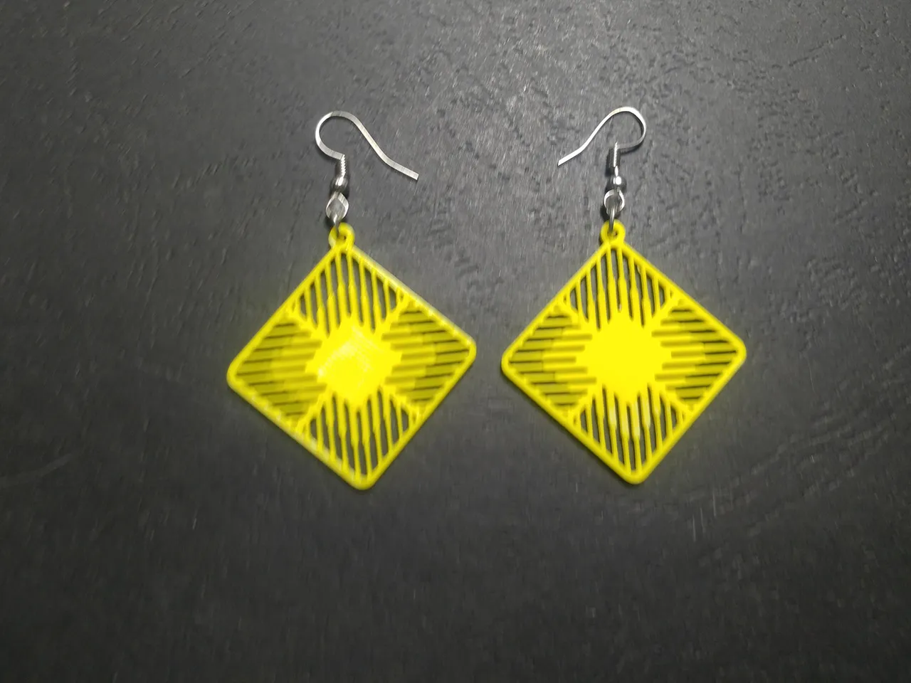 Diamir Seal Earrings view 3