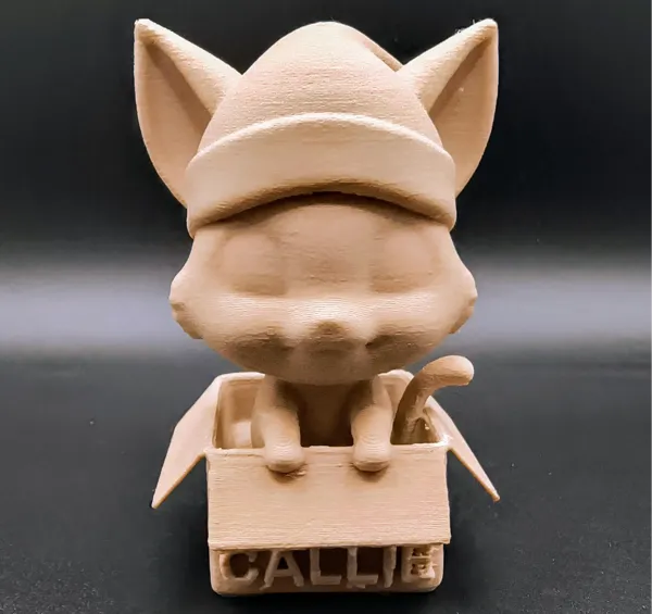 https://makerworld.bblmw.com/makerworld/model/US580fe80c026cf9/design/2024-12-13_15efdaf434532.jpeg
