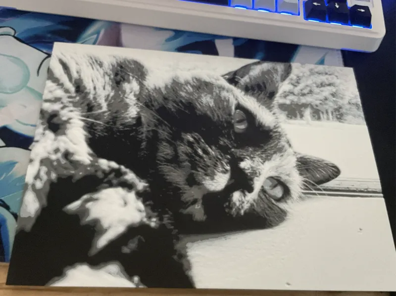 Black and white Cat 2d Art