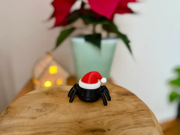 https://makerworld.bblmw.com/makerworld/model/US58173254e8650c/design/2025-11-12_953de8b6f71ff.jpeg