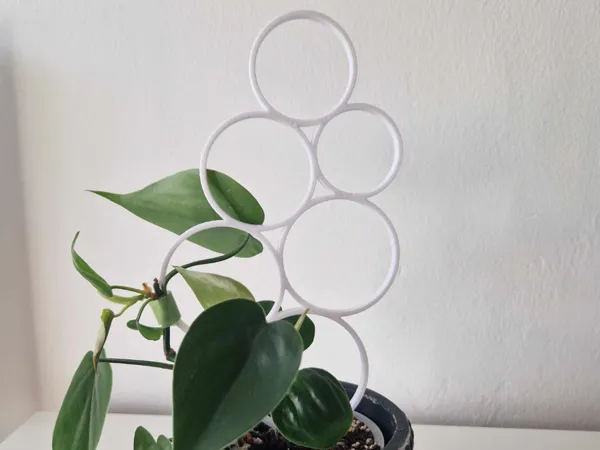 https://makerworld.bblmw.com/makerworld/model/US5817fe93a13406/design/2025-01-11_40e1683765c6.jpg