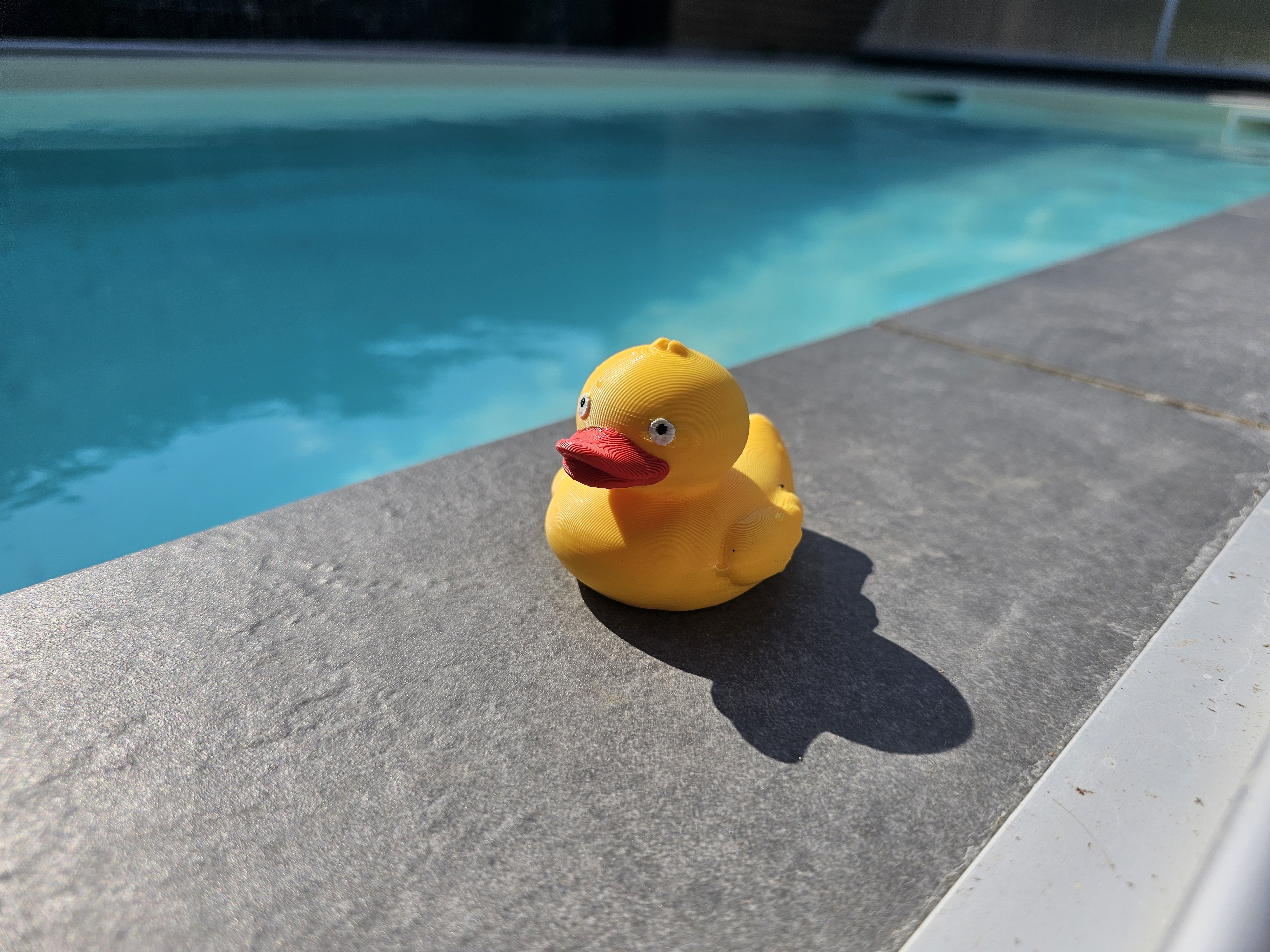 Miniatura 2 do modelo 3D Floating Duck Pooltoy