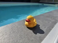 Floating Duck single color NO AMS
