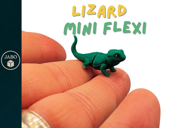 https://makerworld.bblmw.com/makerworld/model/US581aafa0d27251/design/c9f6a30c387c7010.png