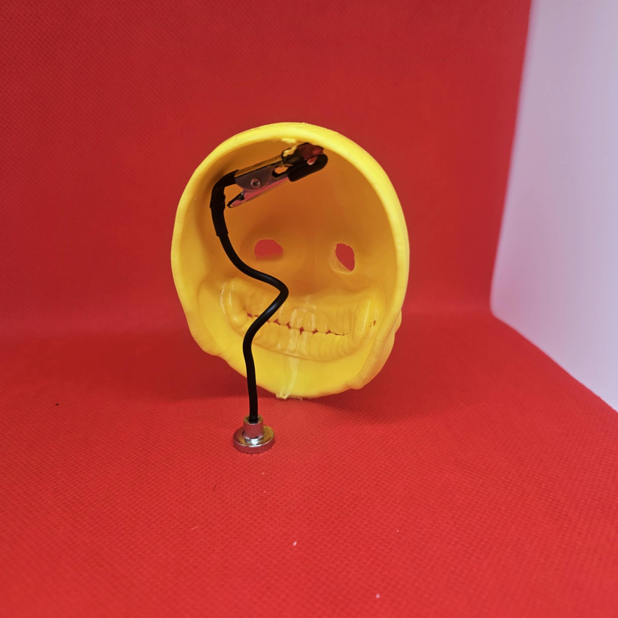 Verity Mask 
