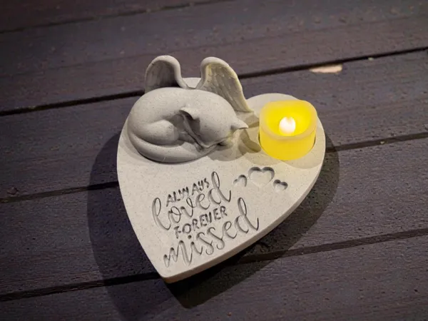 https://makerworld.bblmw.com/makerworld/model/US58267a877902ea/design/2025-12-24_75f2d0bfdc483.jpg