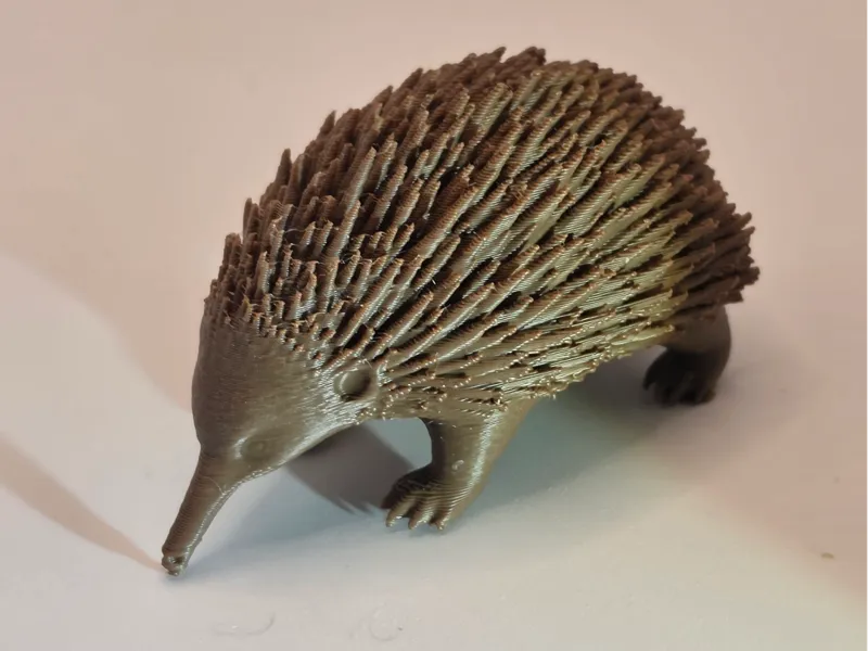 Ameisenigel - Tiere aus aller Welt