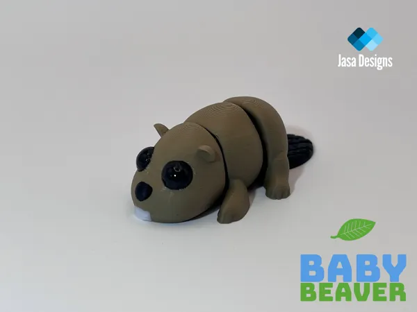 https://makerworld.bblmw.com/makerworld/model/US582967b0fb6002/design/2025-10-04_52f05a68550418.png