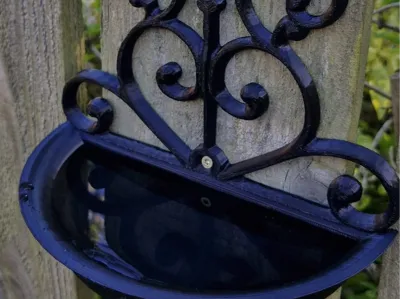 Bird Bath