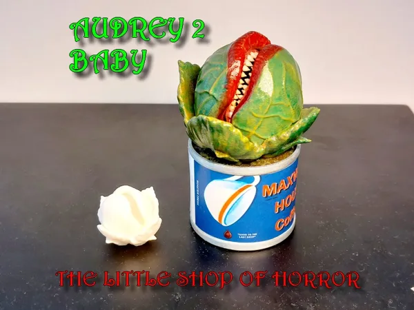 https://makerworld.bblmw.com/makerworld/model/US583482009022d9/design/2024-11-15_c018ec98ec954.jpg