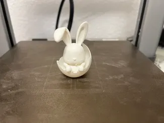 Sleeping Easter Bunny in Egg