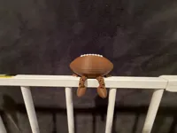 Football Buddy AMS
