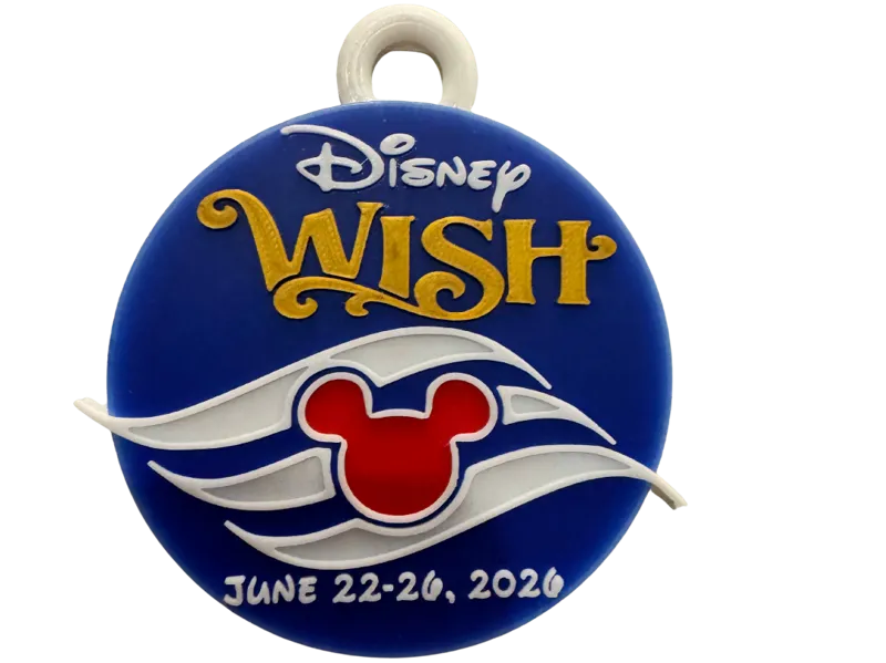 Disney Wish Magnetic Ornament
