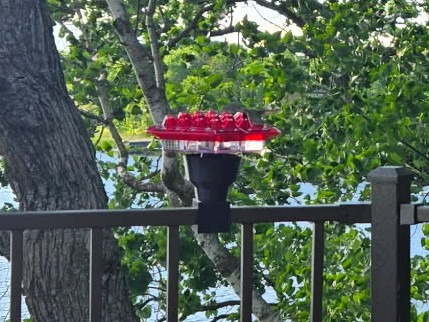 Hummingbird Feeder Ant Moat