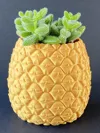 Pineapple Pot 100mm Opening - Scaleable