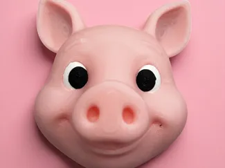 Pig Head - Fridge Magnet