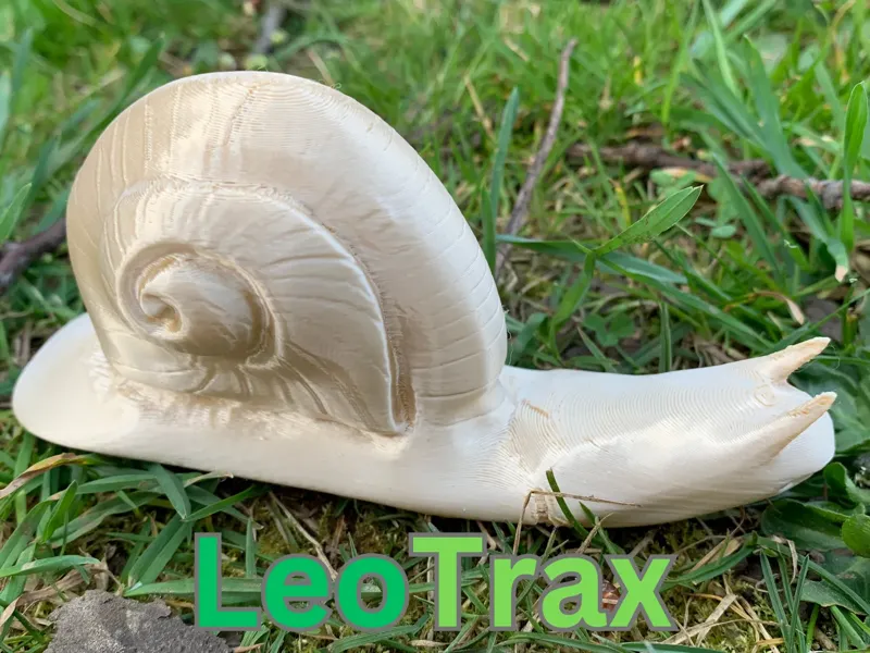 Schnecke
