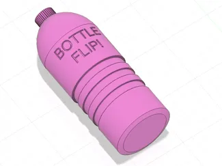 Bottle Flip Challenge!