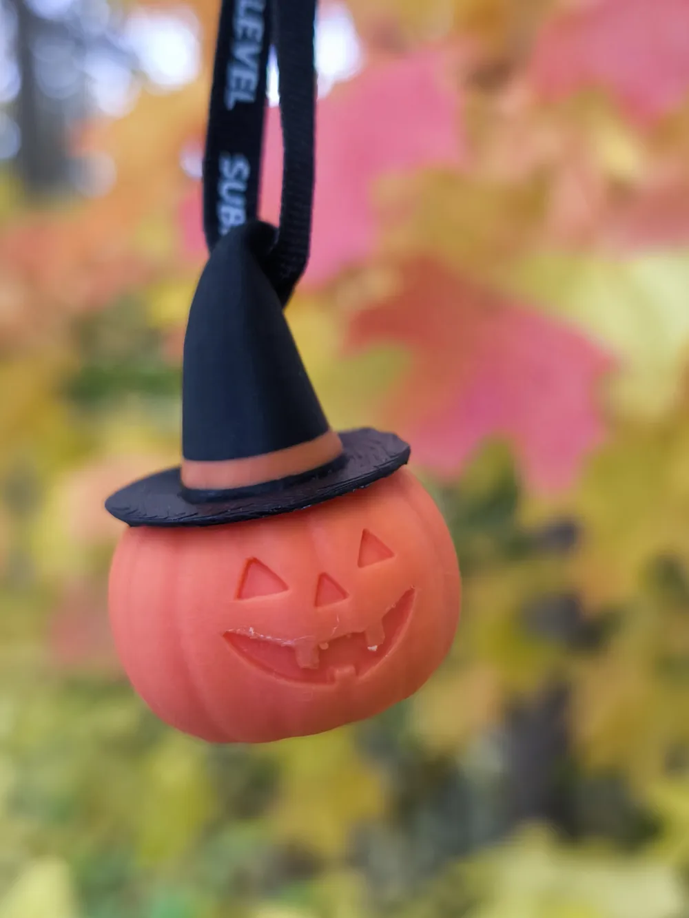 Pumpkin in a Witch Hat by Aleksandr MakerWorld: Download Free 3D Models