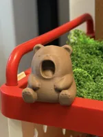 小熊打哈欠