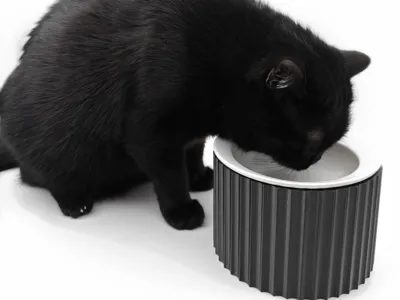 Cat Bowl 丨 The Roman Pillar: Imperial Feast