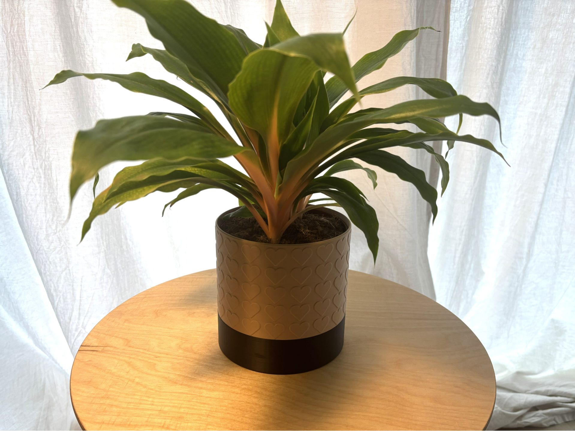 Heart Pattern Planter