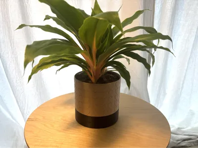 Heart Pattern Planter
