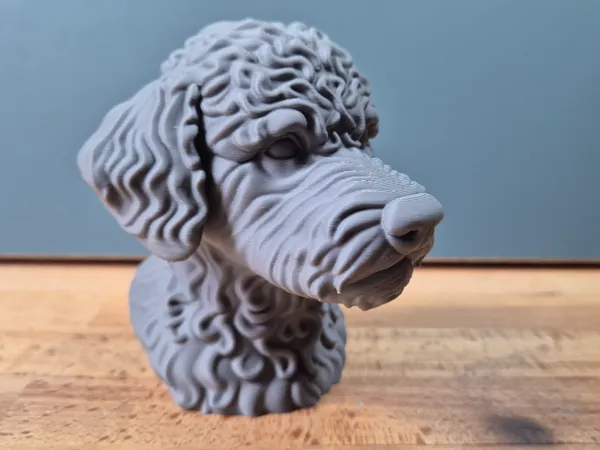 https://makerworld.bblmw.com/makerworld/model/US5863ba28655837/design/2025-05-24_7085d0f084cfe8.jpg
