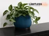 Large Planter