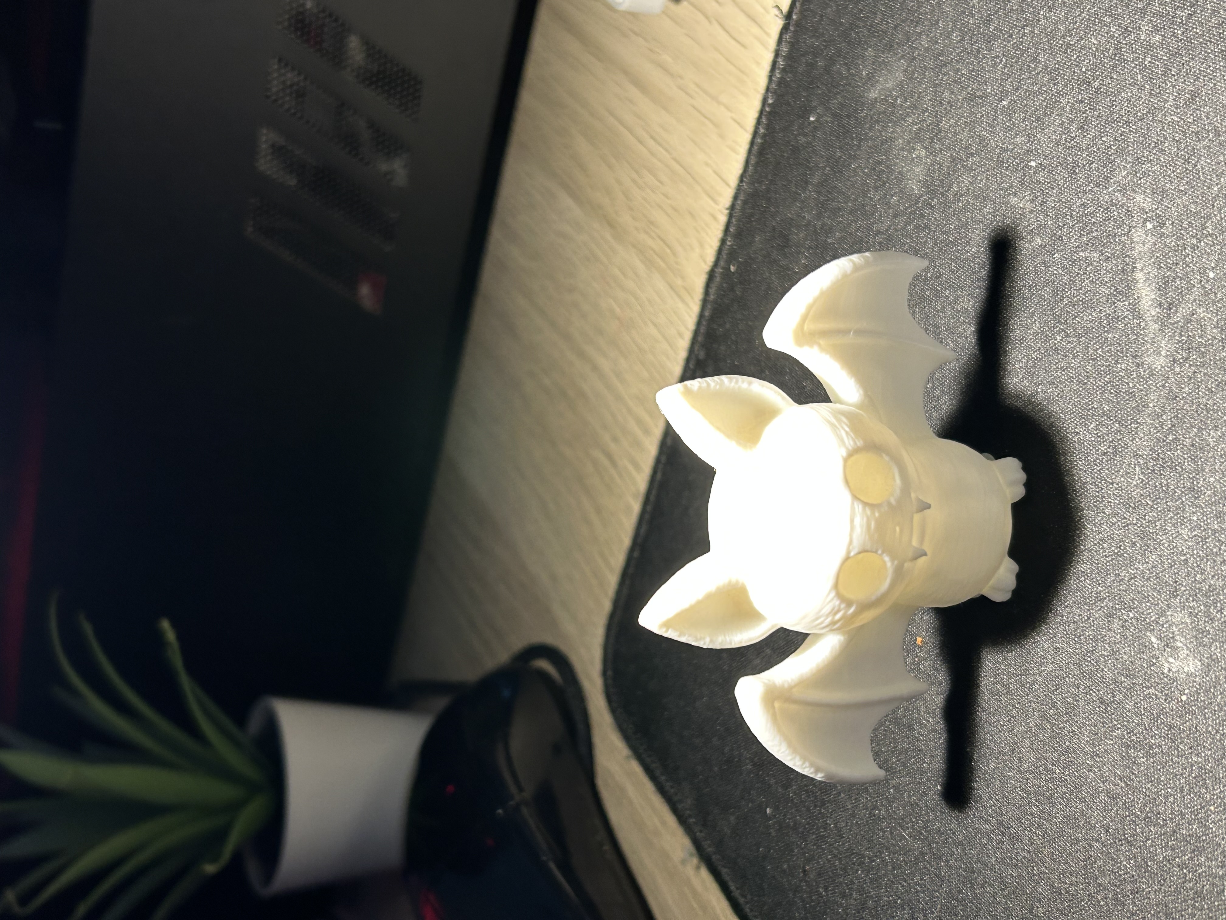 Foto 5